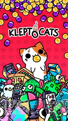 小偷猫