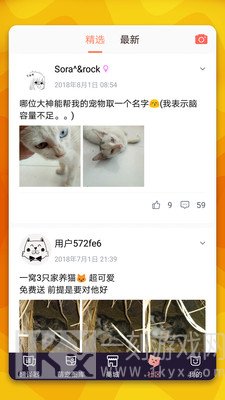 猫语翻译器