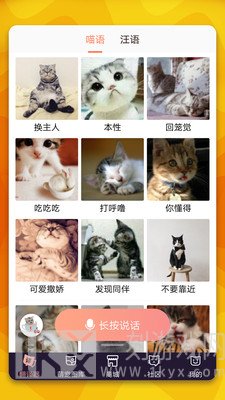 猫语翻译器
