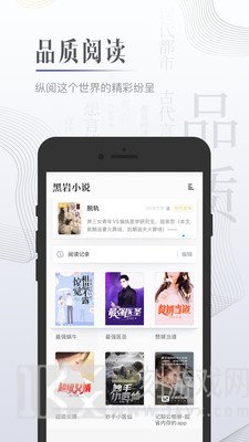 黑岩小说