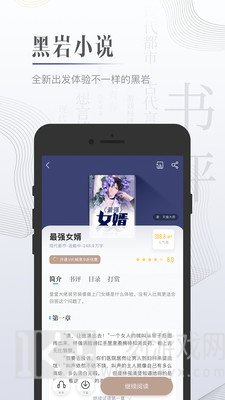 黑岩小说