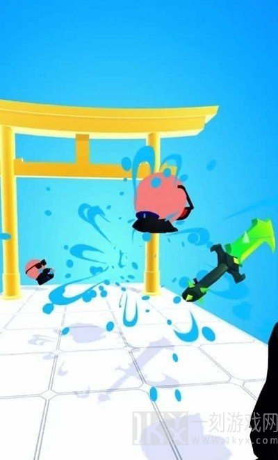 剑玩忍者切片