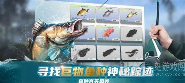 钓鱼大咖台钓