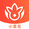 小菜花