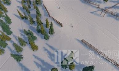 高山运动