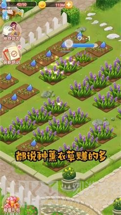 恋与花园