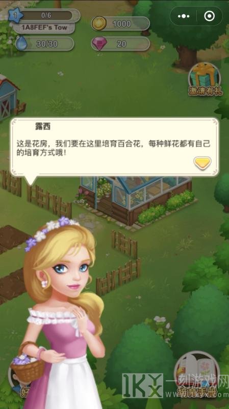 鲜花小镇