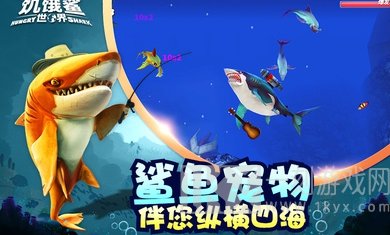 饥饿鲨世界
