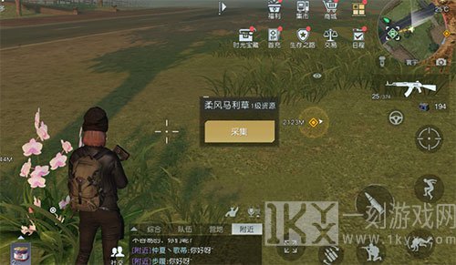 黎明觉醒柔风马利草在哪 柔风马利草采集位置大全
