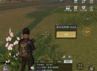 黎明觉醒柔风马利草在哪 柔风马利草采集位置大全