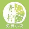 青柠小说