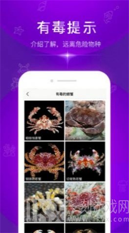 问鱼