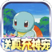 口袋觉醒剑盾
