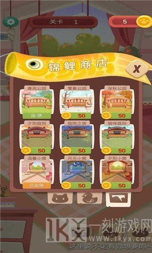 快给猫玩