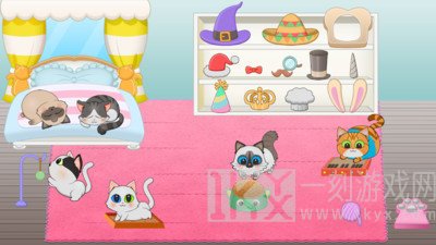 猫咪的生活