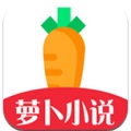 萝卜小说