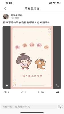 小萌猫