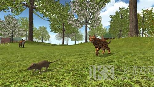 模拟猫咪农场动物
