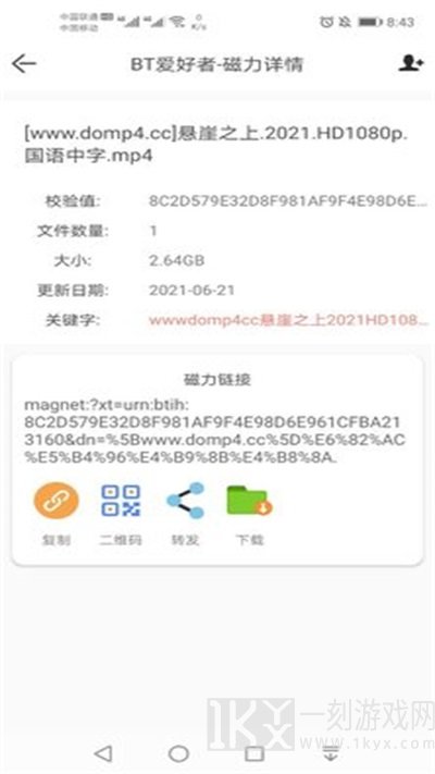BT爱好者