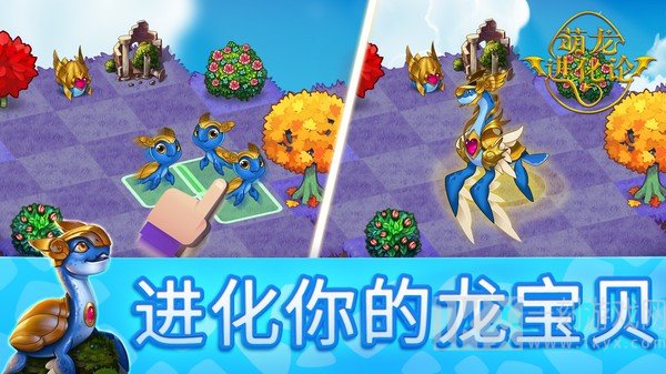 萌龙养成记