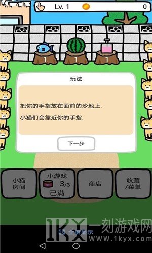 和猫咪一起玩
