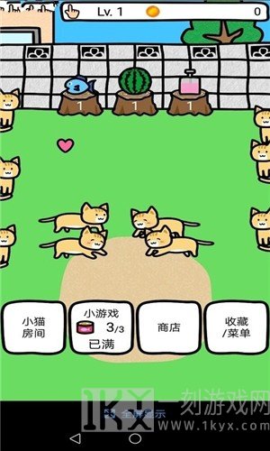 和猫咪一起玩