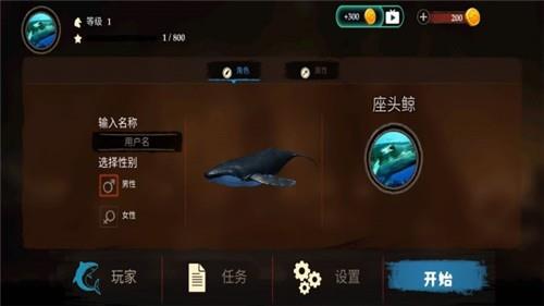 海洋动物世界