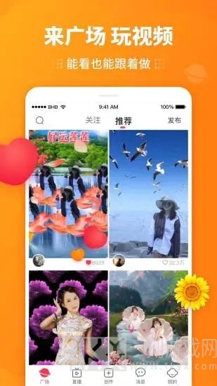 豆拍