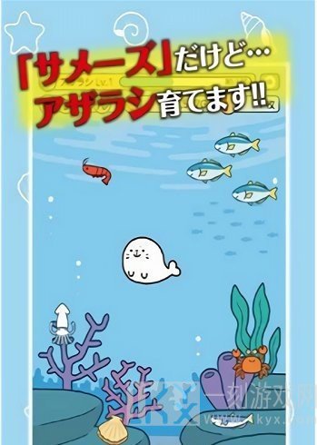 海豹养成