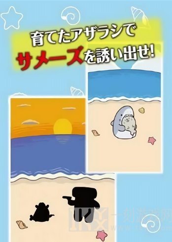 海豹养成