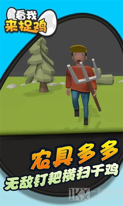 看我来捉鸡