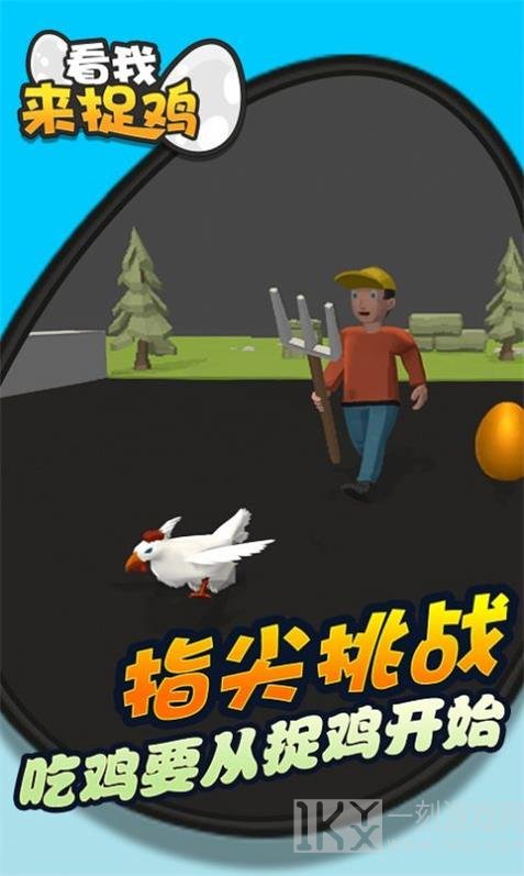 看我来捉鸡