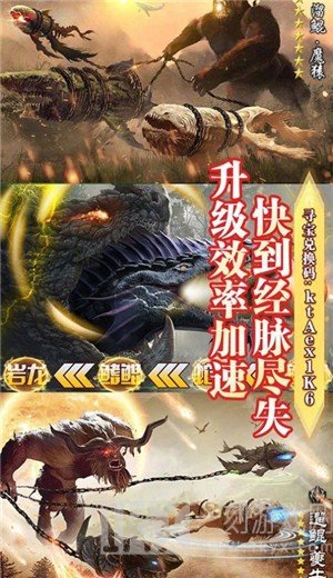 赘婿情缘