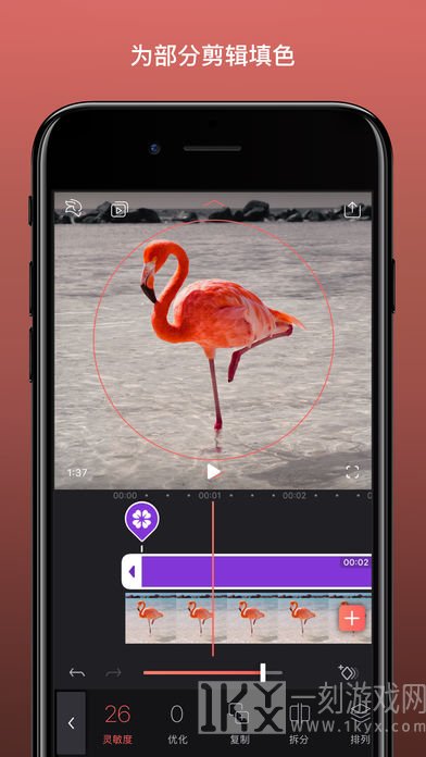 videoleappro