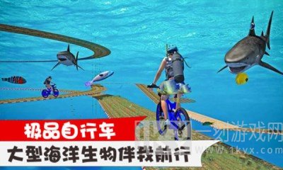 极品自行车