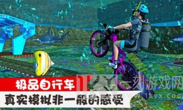 极品自行车