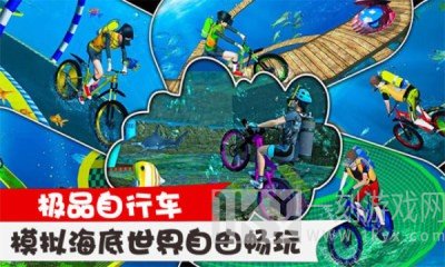 极品自行车