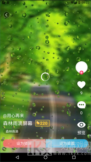 小鸟壁纸