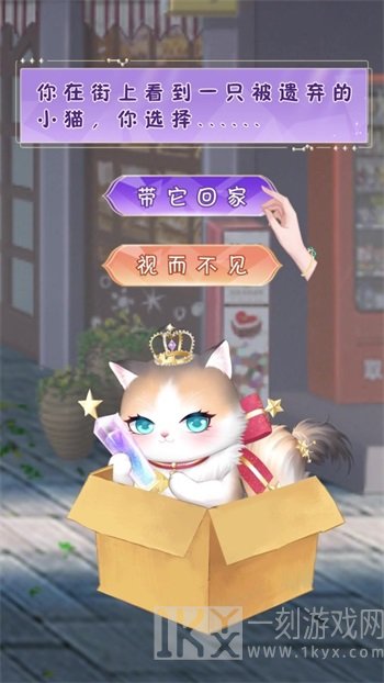 我的灵宠是只猫