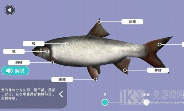 小学科学XR教室