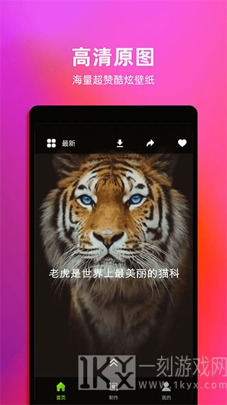 live动态壁纸