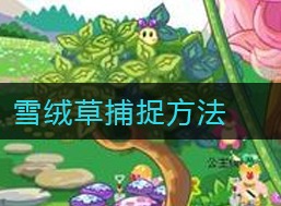 摩尔庄园雪绒草在哪 摩尔庄园雪绒草有什么用