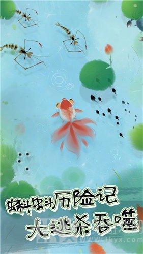 蝌蚪历险记