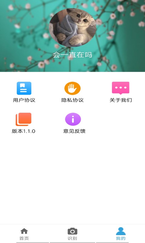 丛林宝典