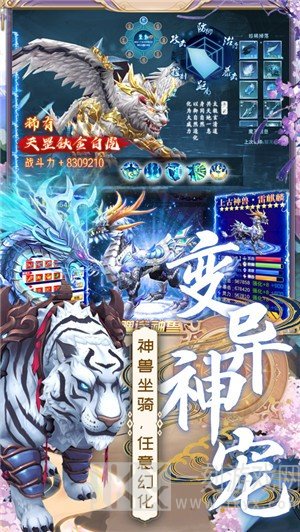 绝世神王仙侠修仙