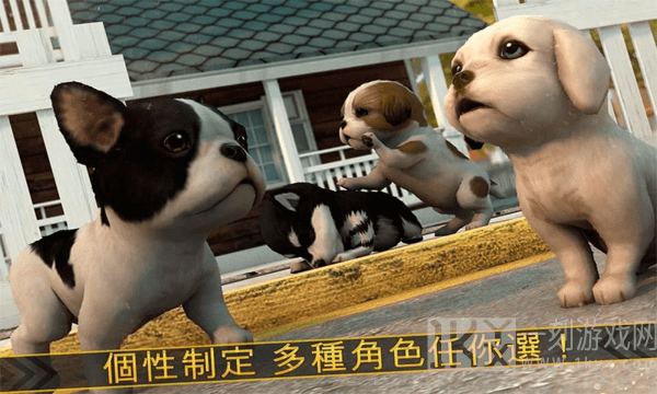 超级小汪大闯关