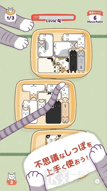 猫猫睡觉觉