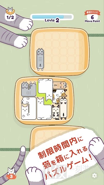 猫猫睡觉觉