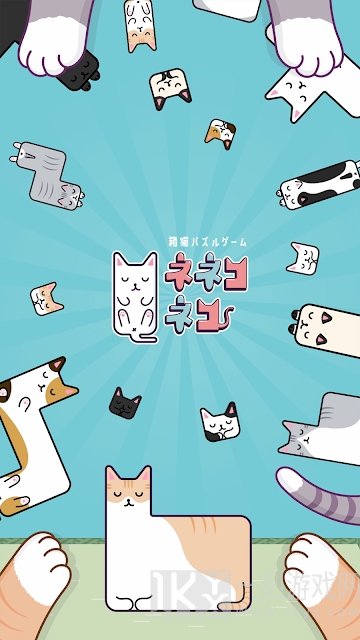 猫猫睡觉觉