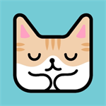 猫猫睡觉觉